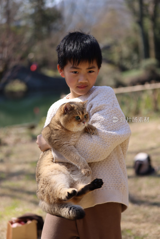 一个中国小男孩和他的宠物猫金渐层