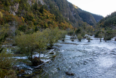 九寨沟秋色，盆景滩山林溪流