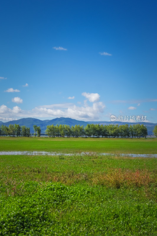 丽江拉市海湿地蓝天白云青山绿水自然风景