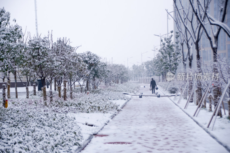 雪中漫步的孤独身影