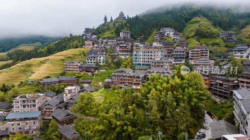 广西桂林龙脊梯田秋收稻田航拍风景