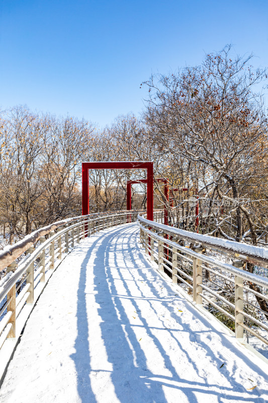 济南泉城公园自然景观雪景