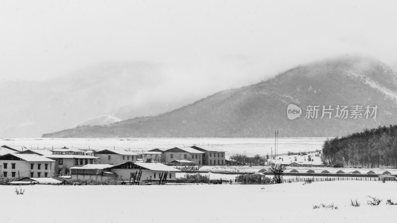 冬天的草原雪黑白