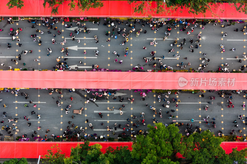 深圳花市爱国路花市