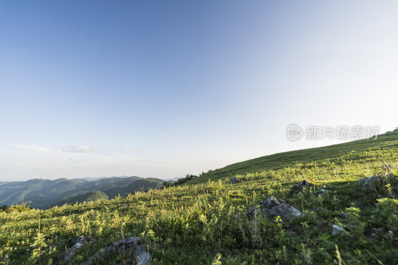 阳光下的广袤草原与起伏山脉的美景