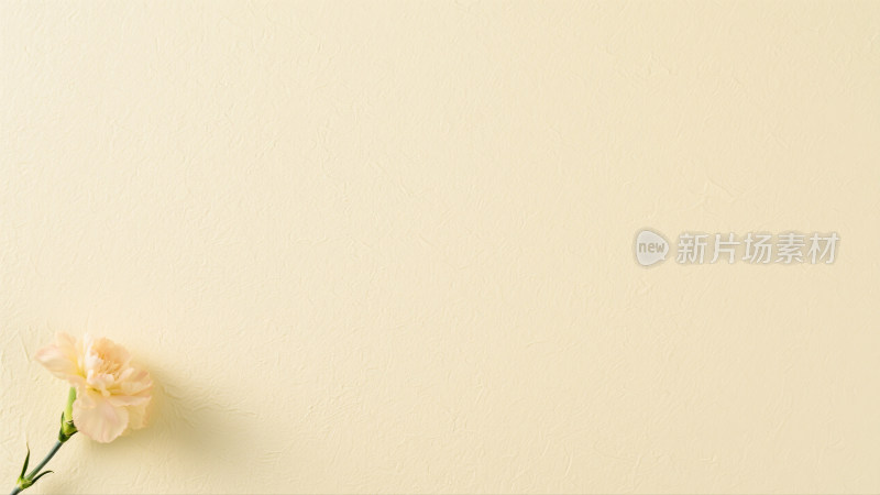 肌理感质感纯色背景素材渐变背景