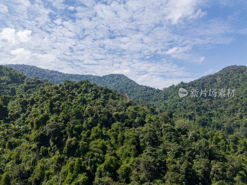 航拍层峦叠嶂的热带雨林