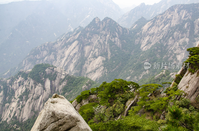 黄山松崖绝壁 奇松怪石 峰峦叠嶂