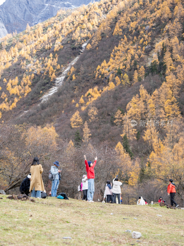 四姑娘山景区的秋天秋色风景