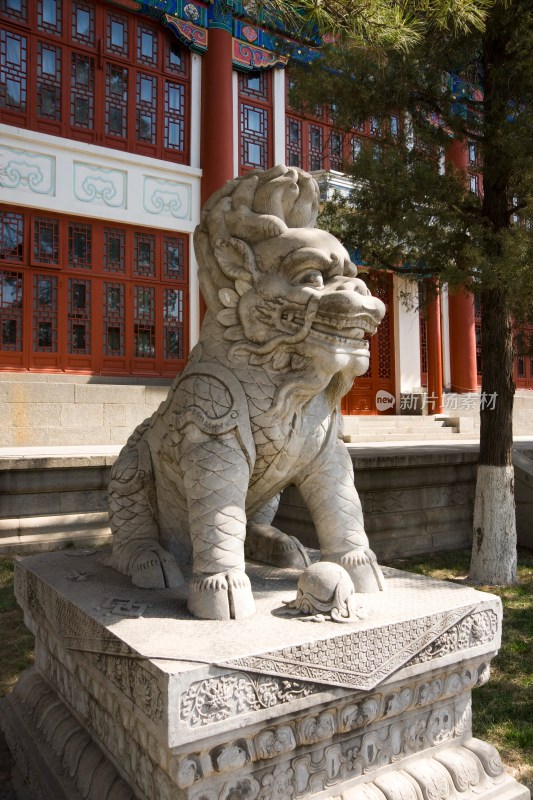 北京大学