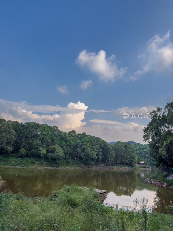 湖边天空树林