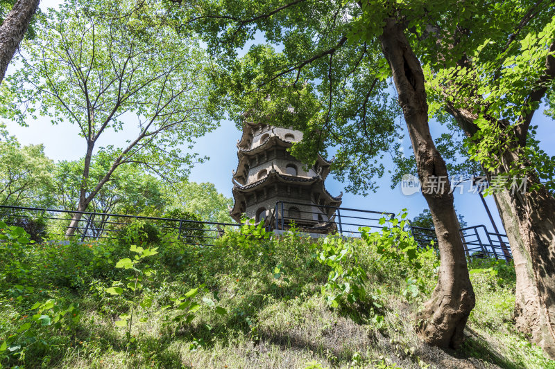 武汉武昌区首义公园风景