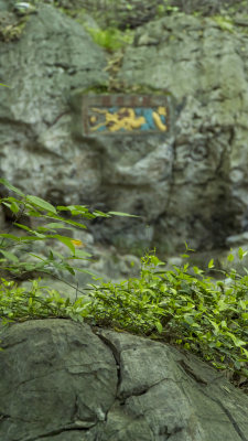 杭州吴山紫阳山泼水观音