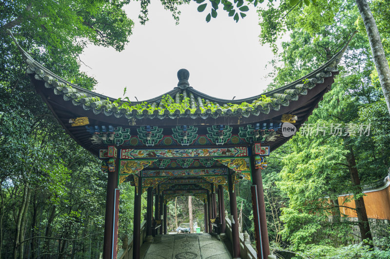 浙江天台山高明寺禅院风景