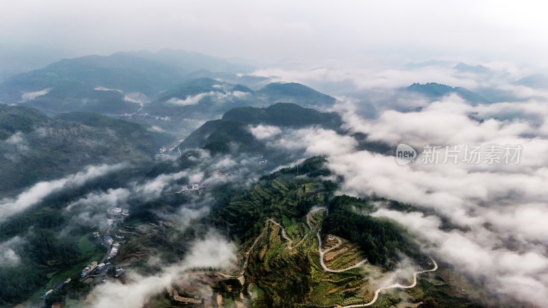 重庆酉阳：今日又见晨雾来