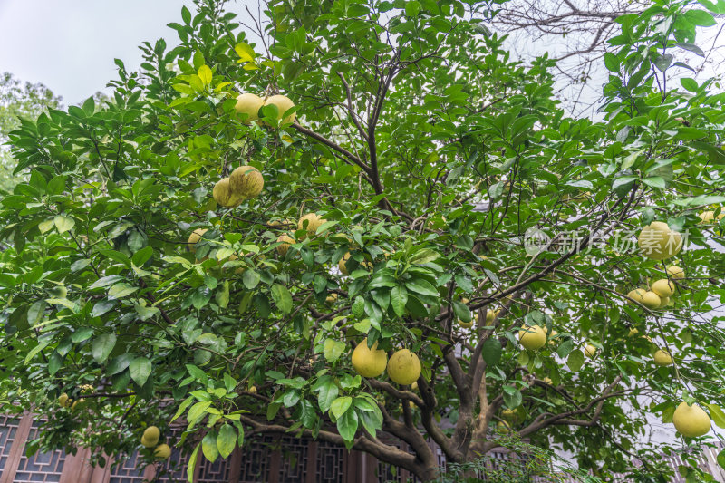 杭州宝石山连横纪念馆玛瑙寺旧址