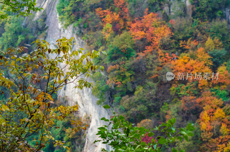 河南省洛阳白云山九龙潭秋天风景