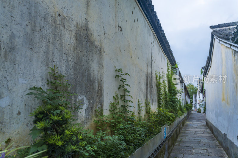 杭州桥西历史文化街区风景