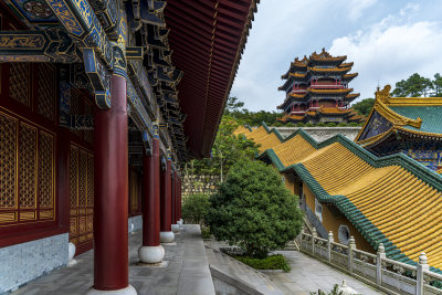 浙江舟山普陀山宝陀讲寺风光