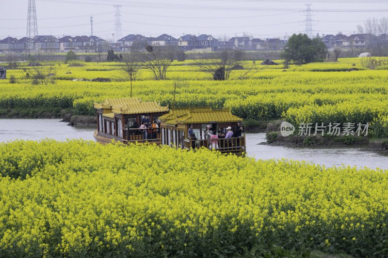 江苏兴化千垛油菜花