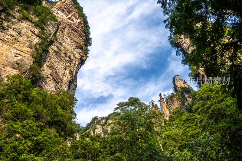 中国湖南张家界景区奇特山峰与茂密森林