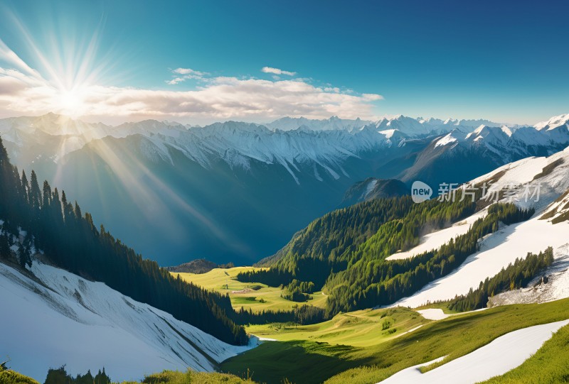 雪山高原草原森林风景