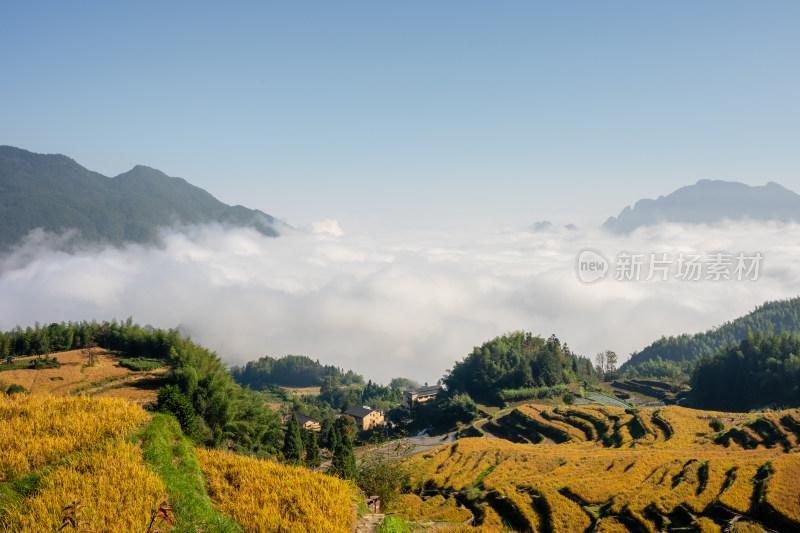 浙江丽水云和梯田景区风光