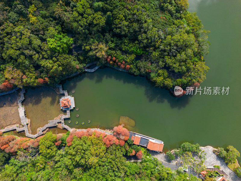 深圳仙湖植物园