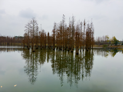 天空下湖边的风景