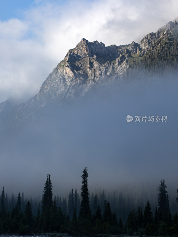 夏天新疆伊犁，晨雾中的山和森林的自然风景