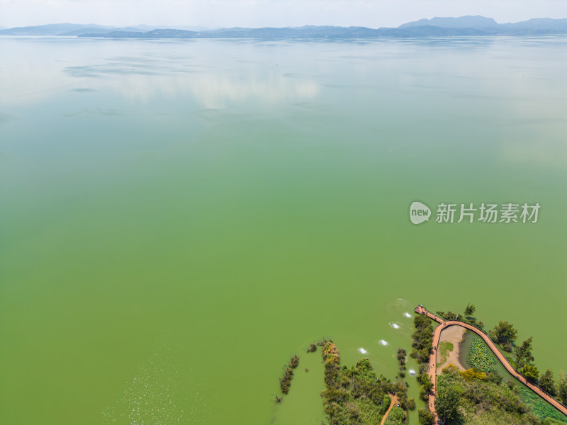 航拍昆明滇池捞鱼河湿地公园景观