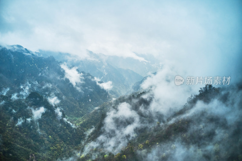 神秘的原始神农架林区