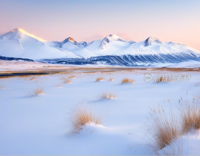 高山雪地