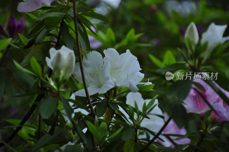 长沙夜景 长沙风光 长沙城景