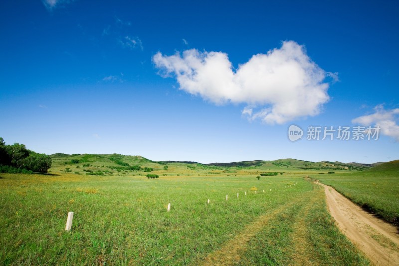 内蒙,坝上,乌兰木统,乌兰木统草原,红山,军马场,草原,草地,