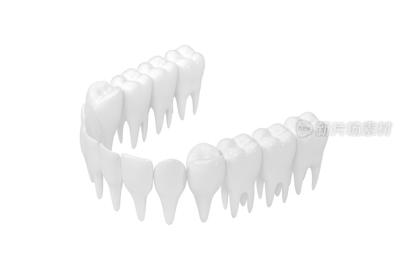 健康的口腔牙齿 3D渲染