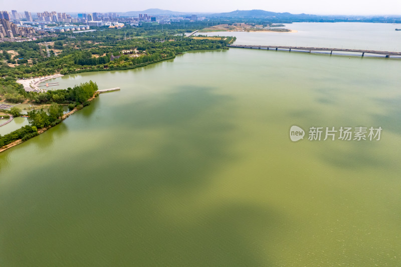 蚌埠城市绿化植物航拍图