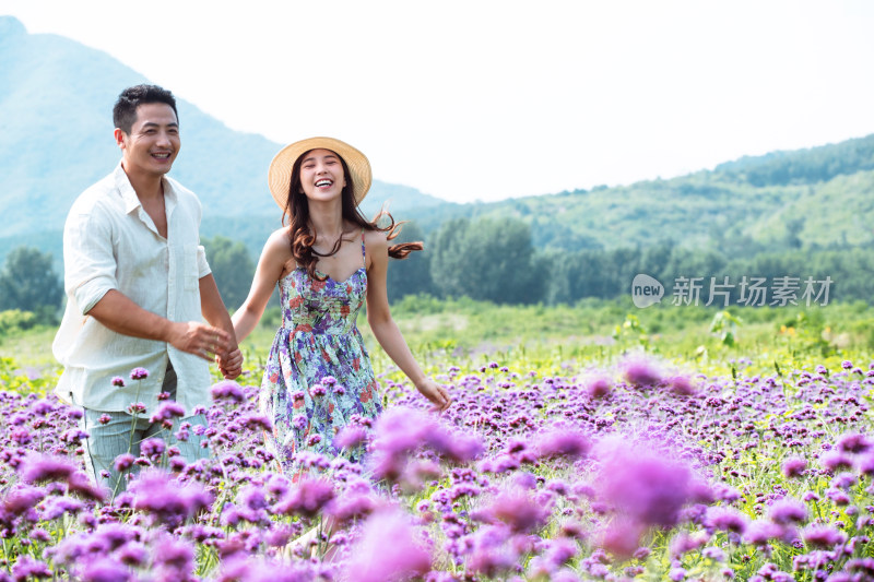 青年夫妇手牵手走在花海里