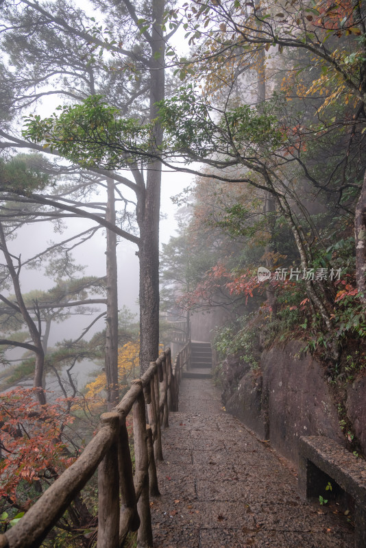 云雾下，安徽黄山风景区风光