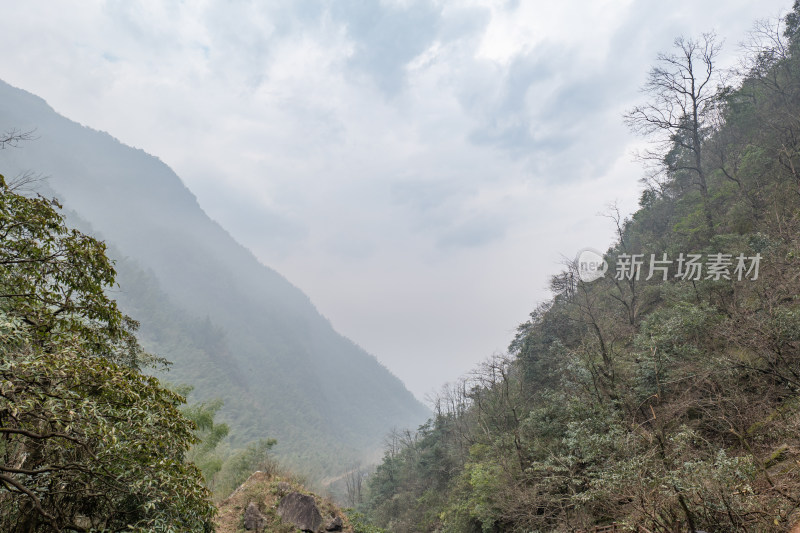 云雾缭绕的山林自然景观