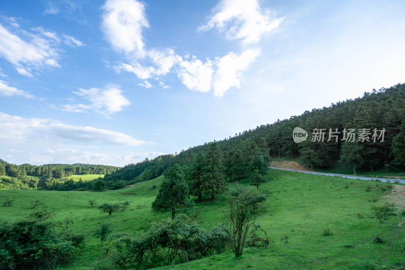 重庆市武隆区仙女山国家森林公园