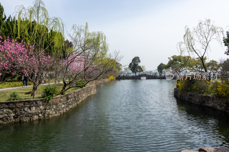 无锡市蠡园春日园林风光水岸鲜花盛开