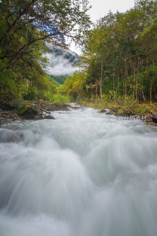 山林河谷湍急的河流