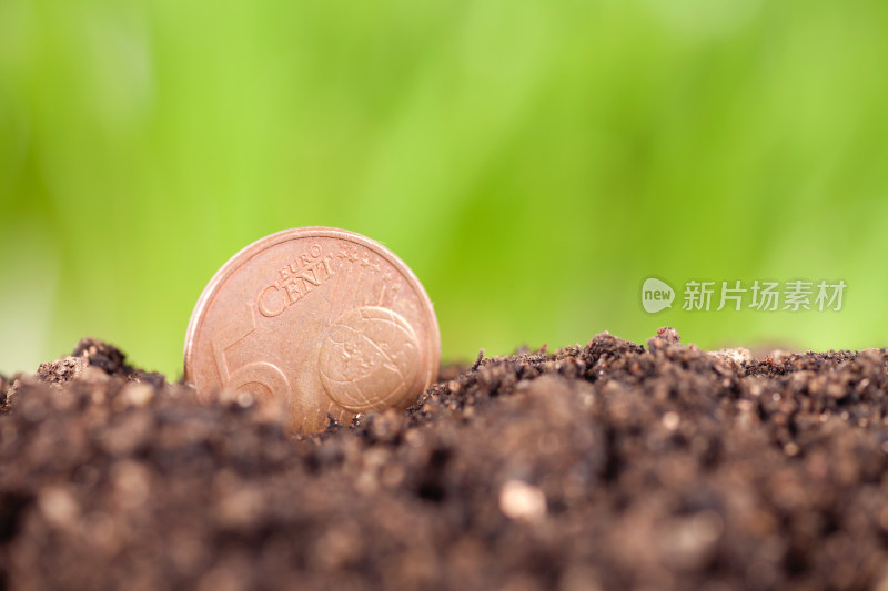 种植在肥沃土壤中的1欧元硬币