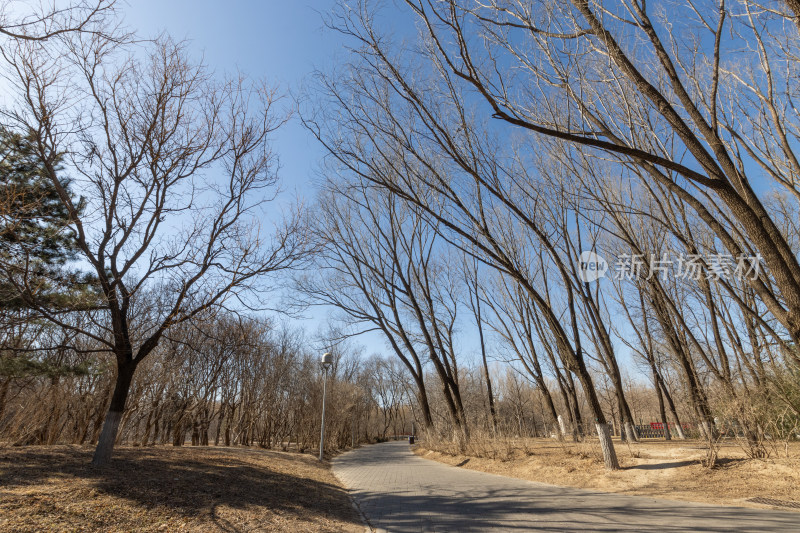 冬日暖阳下的北京奥林匹克公园步道