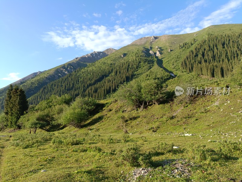 青山绿树自然风光