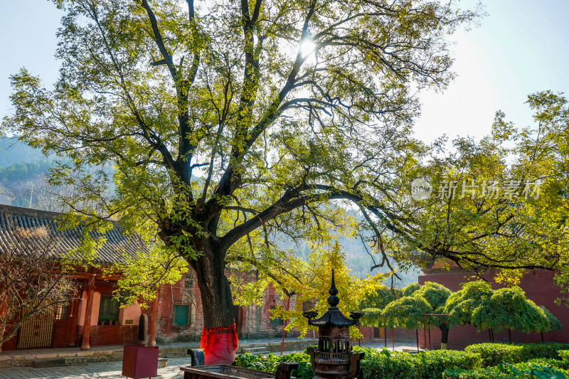 山西临汾市洪洞县广胜寺下寺明应王殿