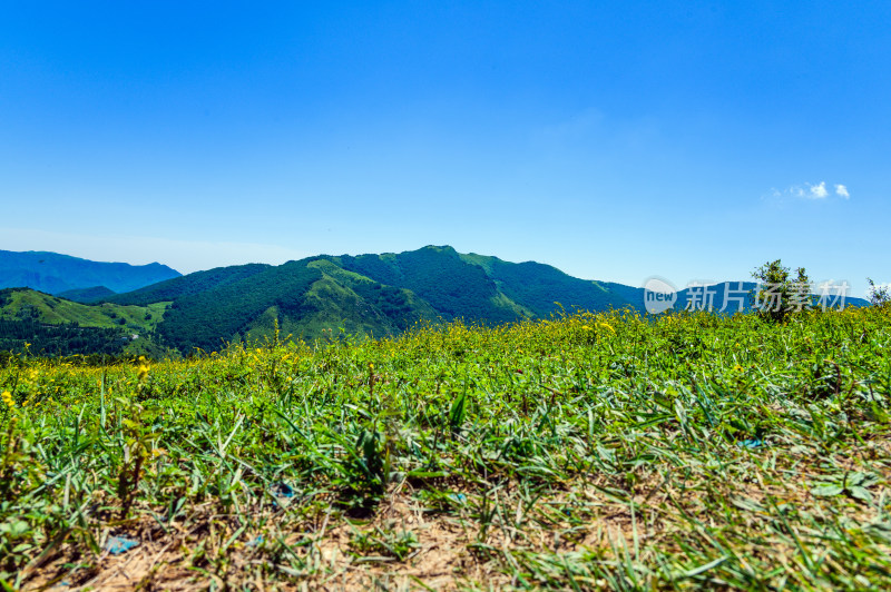 夏季蓝天白云绿色高山草甸群山大气风光