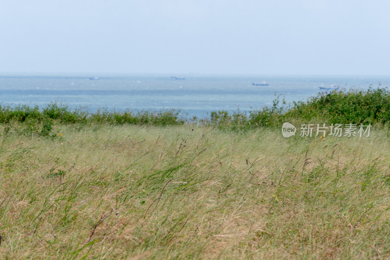 海边草地与远处船只景观