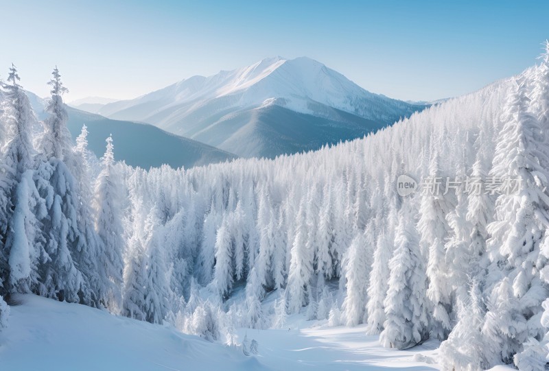 冬季森林白雪覆盖风景